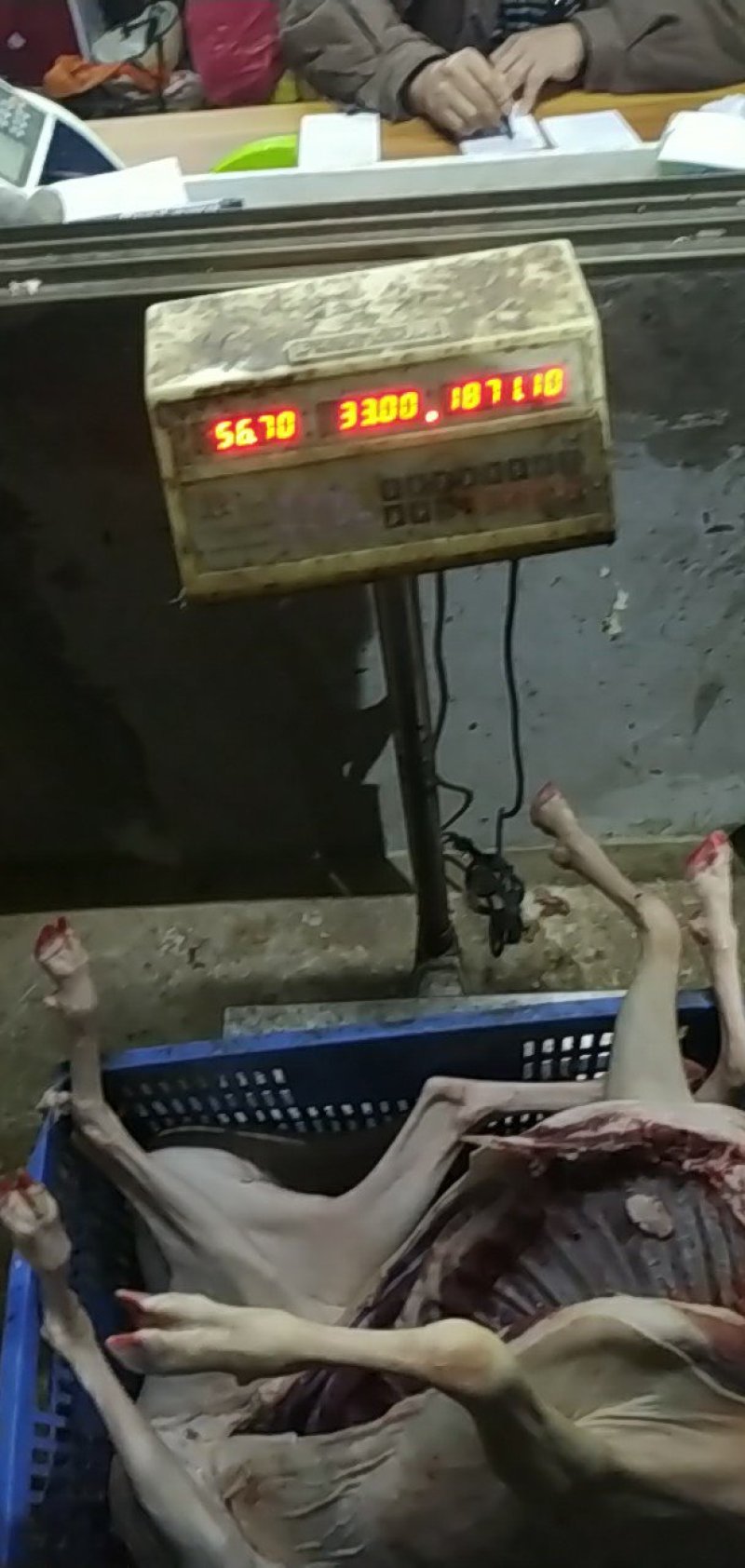 新鲜羊肉，白条，山羊批发