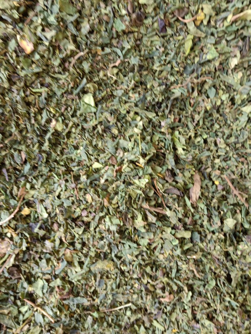 大量出售金银花叶子，有杀青的，有晒干的，有分捡的