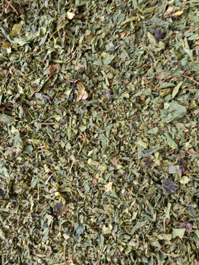 大量出售金银花叶子，有杀青的，有晒干的，有分捡的