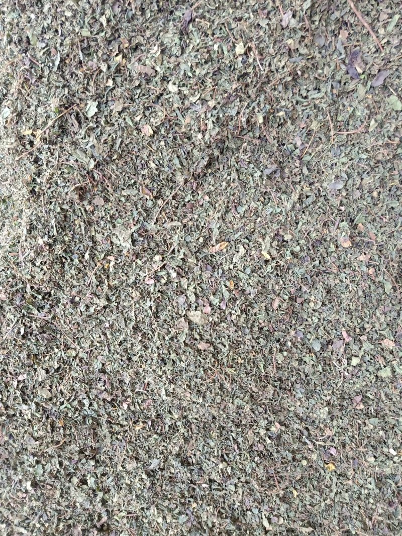 大量出售金银花叶子，有杀青的，有晒干的，有分捡的