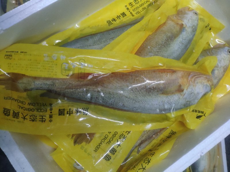 鱼味中国，鲜冻黄花鱼，一斤半一条