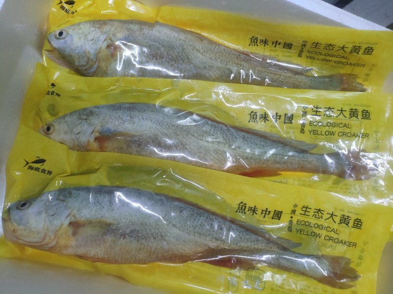 鱼味中国，鲜冻黄花鱼，一斤半一条