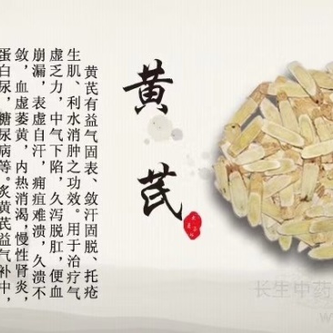 黄芪