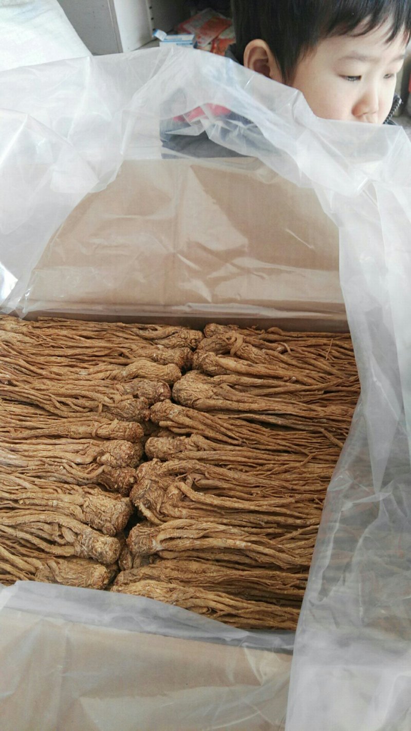 黄当归