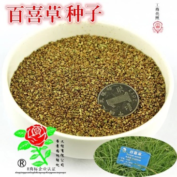百喜草种子护坡草皮草坪改良果园植物花草花卉牧草