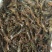 洪湖淡水小龙虾虾苗，成品虾