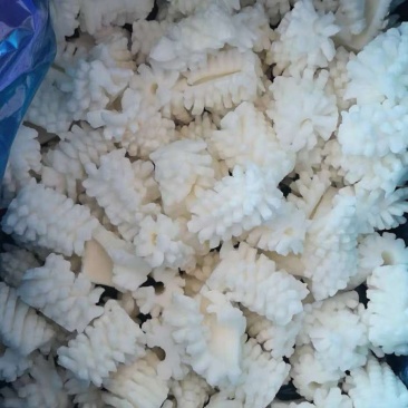 鱿鱼花