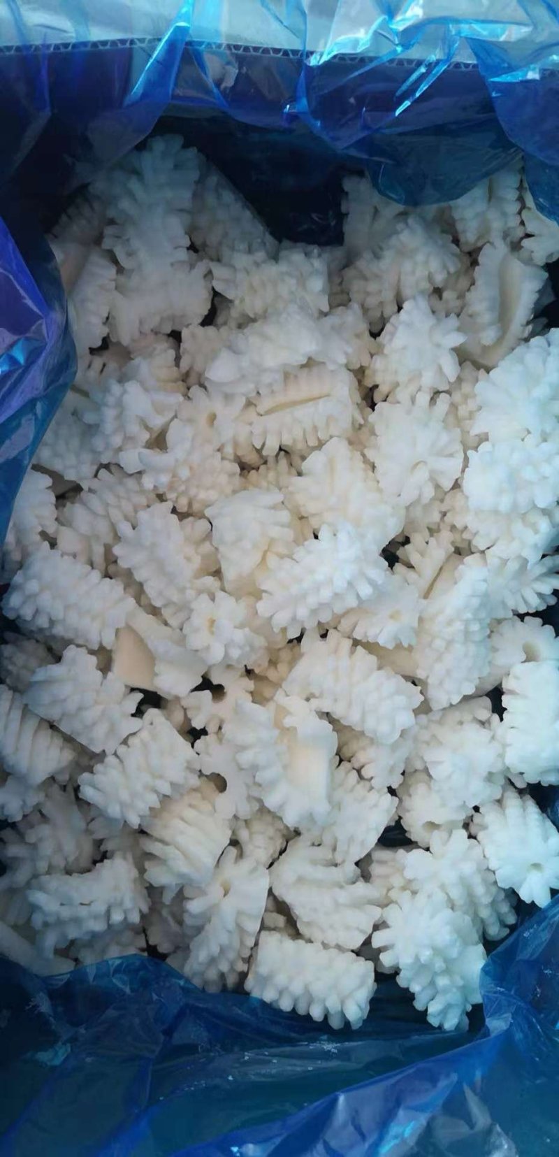 鱿鱼花