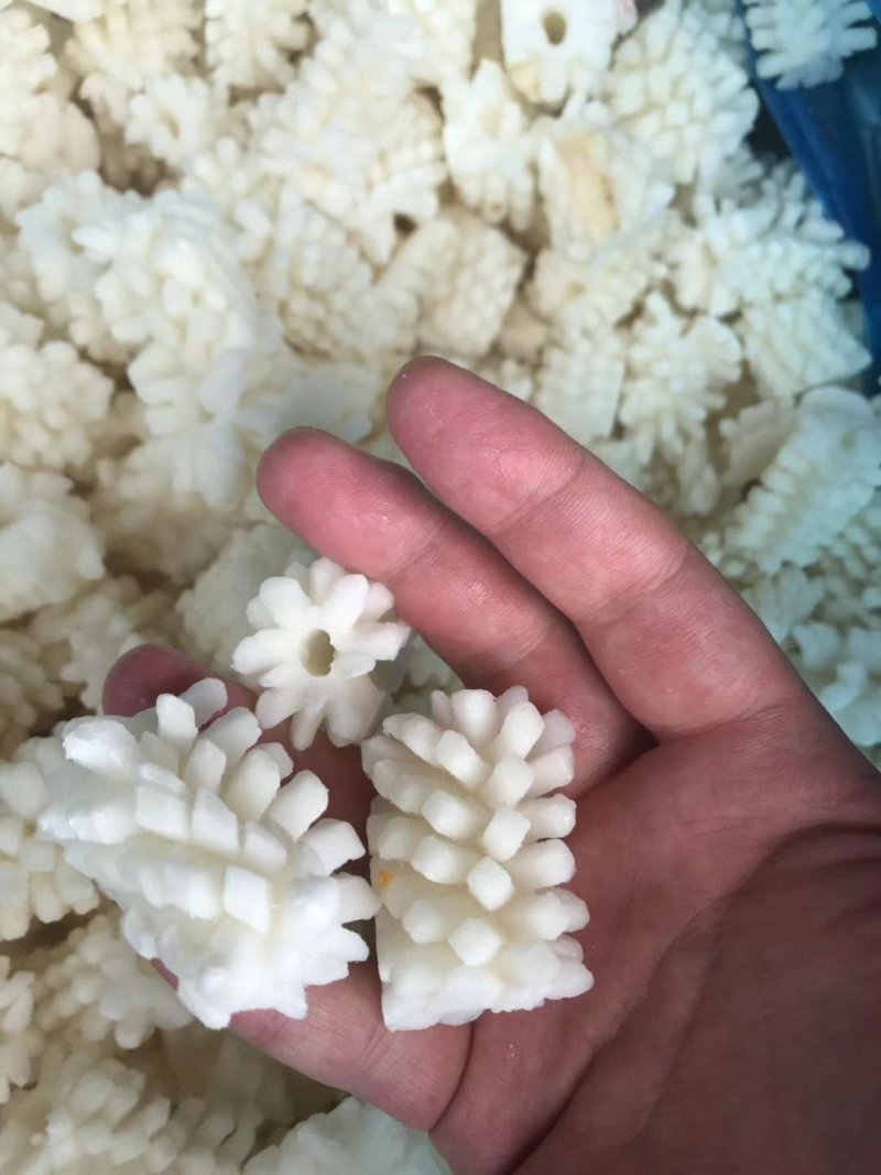 鱿鱼花