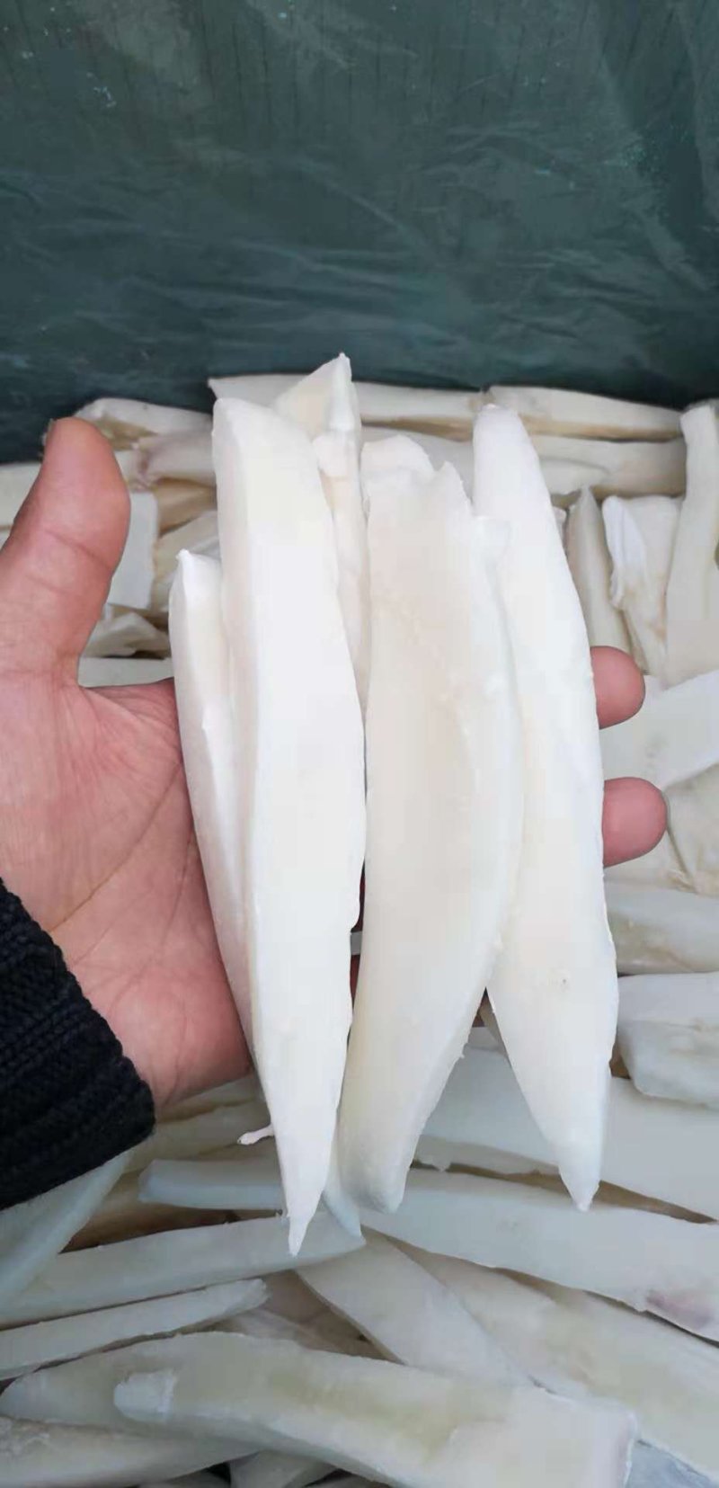 鱿鱼单冻条