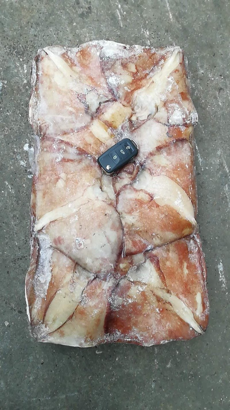 秘鲁鱿鱼生耳厂家直销