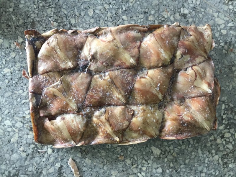 秘鲁鱿鱼生耳厂家直销
