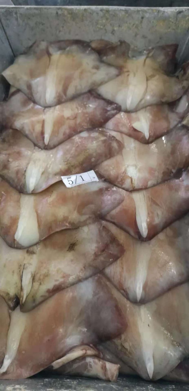 秘鲁鱿鱼生耳厂家直销