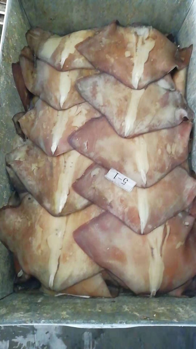秘鲁鱿鱼生耳厂家直销