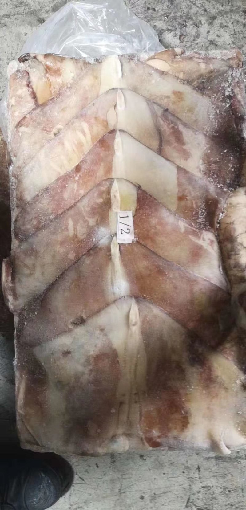 秘鲁鱿鱼生耳厂家直销