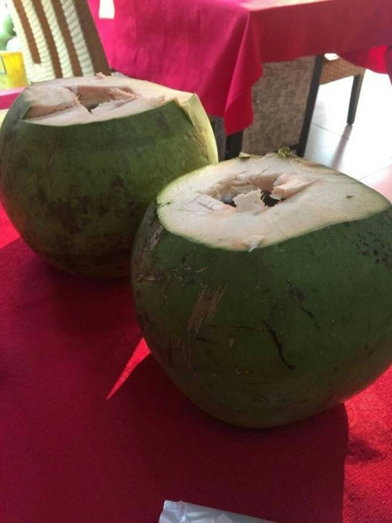 现摘海南椰子4个装