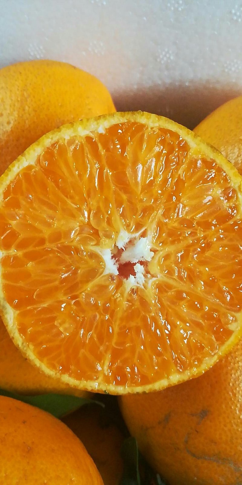 蒲江春见耙耙柑一件代发批发包邮包售后中果