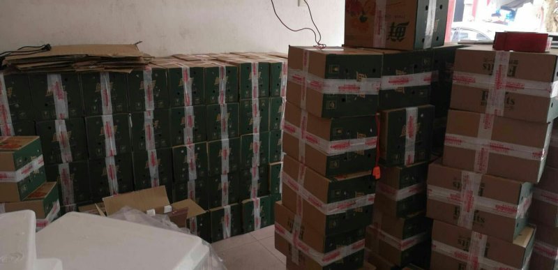 蒲江春见耙耙柑一件代发批发包邮包售后中果