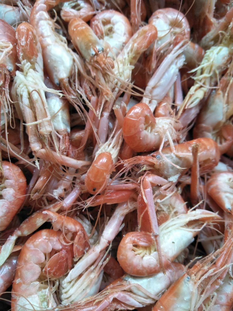 红虾冻虾