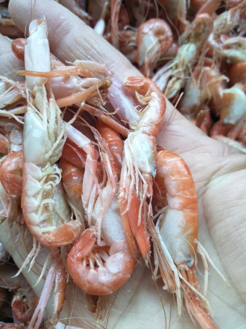 红虾冻虾