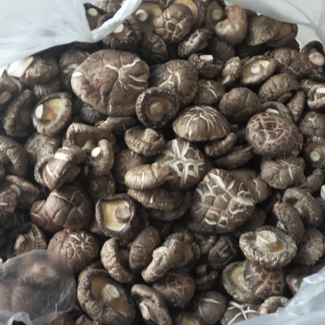 产地直销干花菇