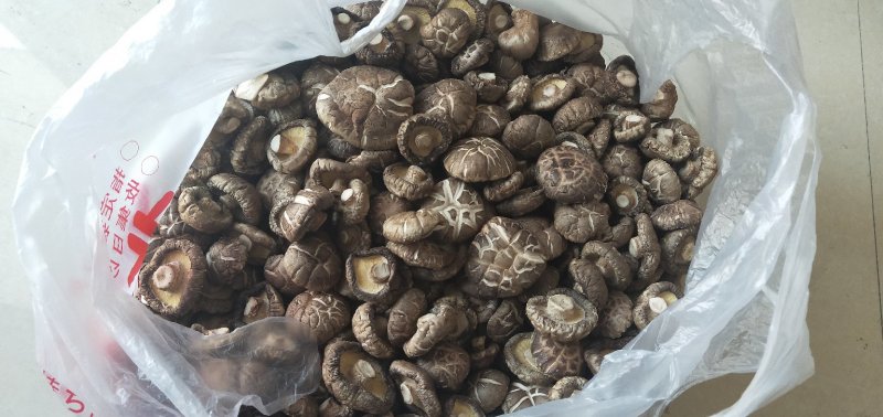 产地直销干花菇