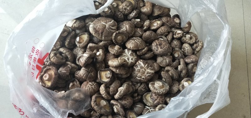 产地直销干花菇