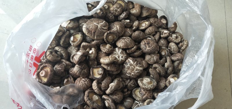 产地直销干花菇