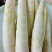 竹笋现挖新鲜，3斤装，中号