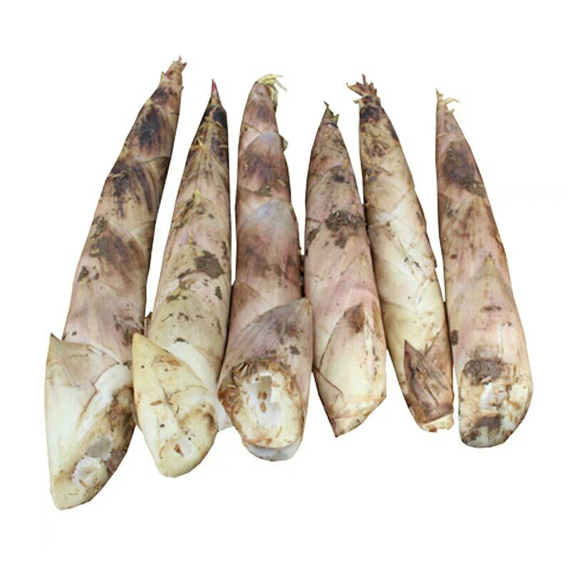 竹笋现挖新鲜，3斤装，中号