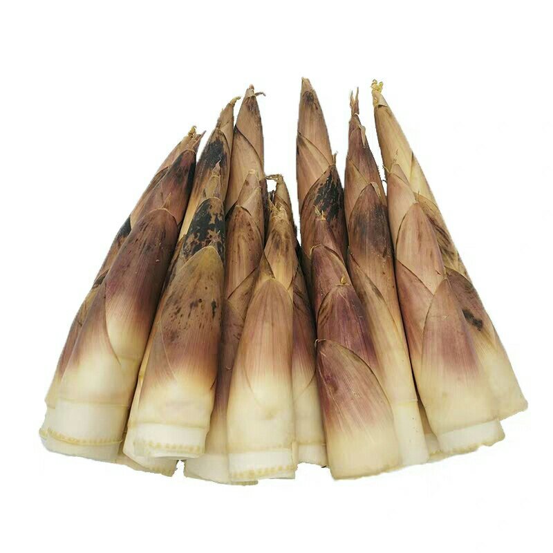 竹笋现挖新鲜，3斤装，中号
