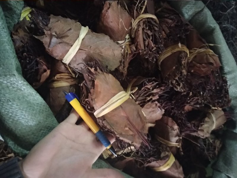 山楂叶干净无杂质