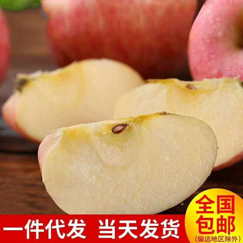 山东红富士苹果脆甜多汁爽口现摘现发当天发货新鲜水果苹果