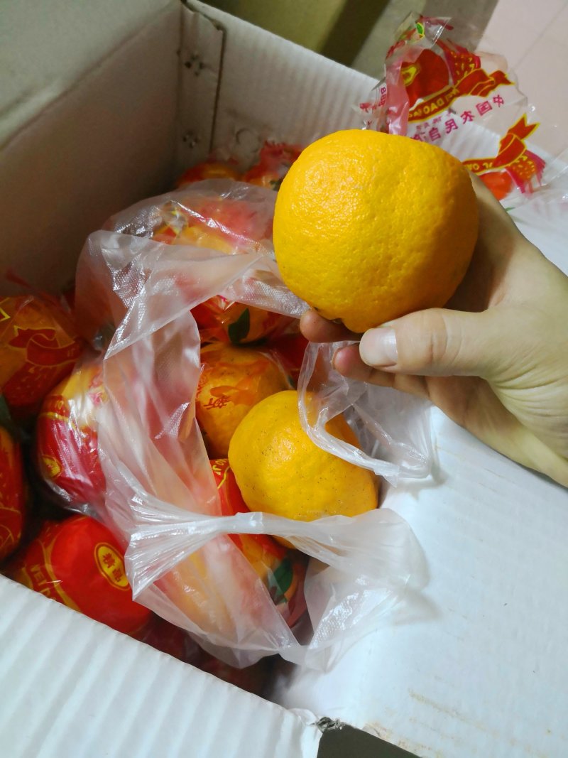 柑桔赶集的芦柑