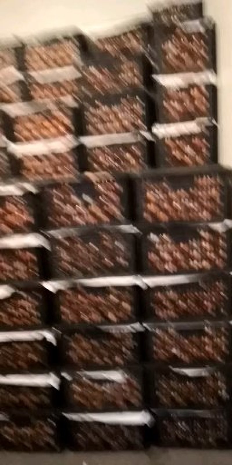 柑桔赶集的芦柑