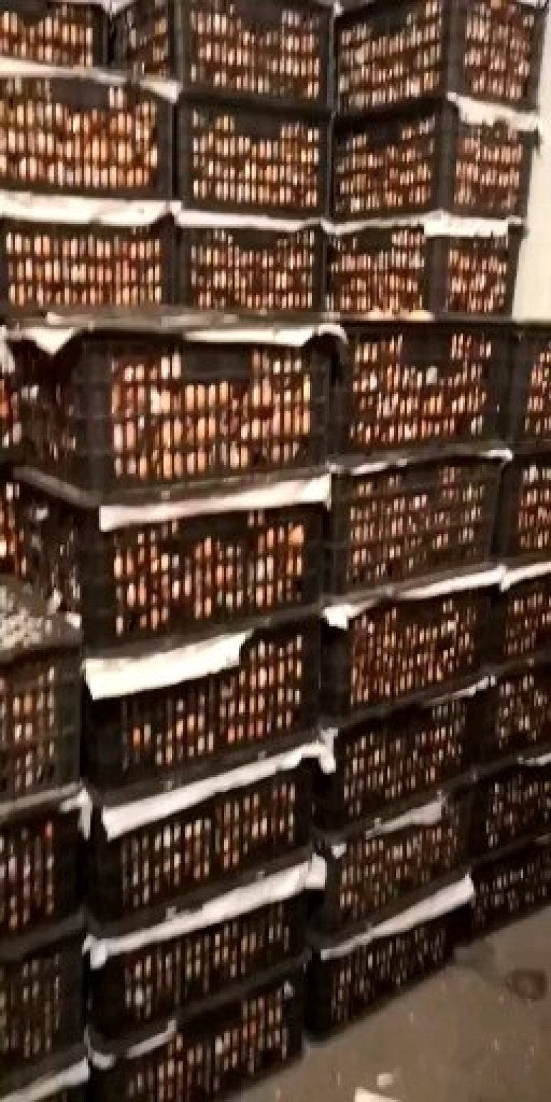 柑桔赶集的芦柑