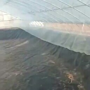 水产养殖用hdpe土工膜防渗膜，大量接单中，规格齐全
