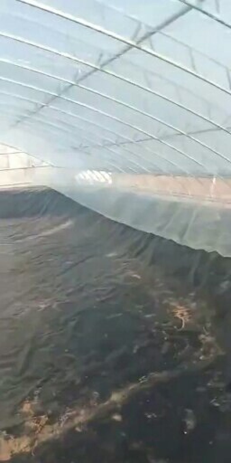 水产养殖用hdpe土工膜防渗膜，大量接单中，规格齐全