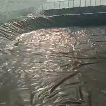 池塘用加厚防渗膜土工膜，高密度聚乙烯土工膜