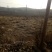 百亩山地需求合作