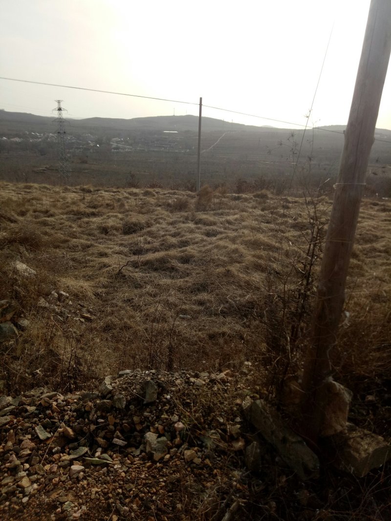 百亩山地需求合作