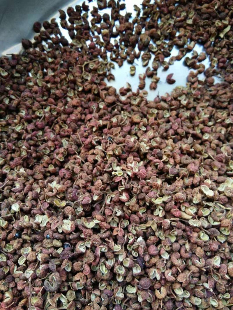 电商货视频看货颗粒大颜色红麻多种规格一条龙服务