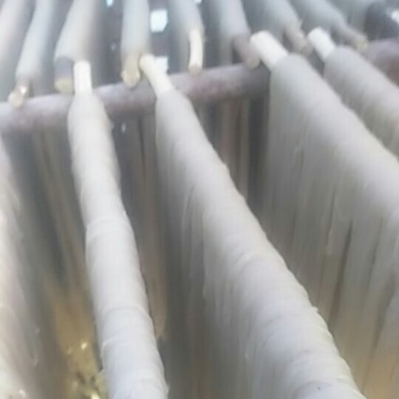 红薯粉丝
