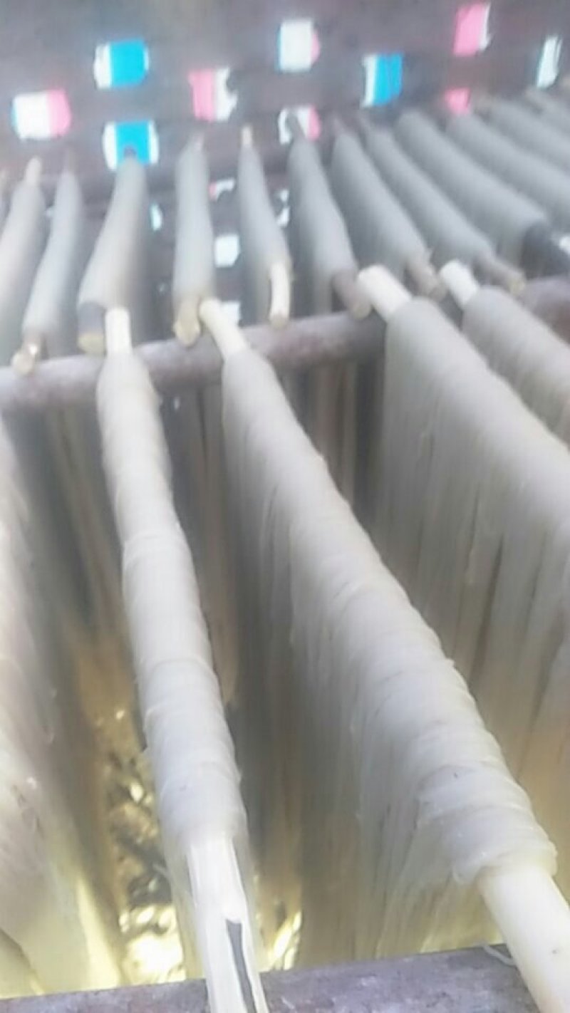 红薯粉丝