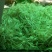 小跟蒜大量批发中，欢迎各位老板前来咨询