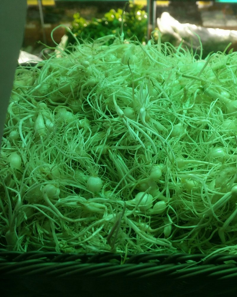 小跟蒜大量批发中，欢迎各位老板前来咨询