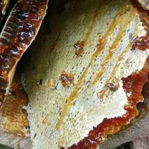 自己家的野生蜂蜜在木里卡拉有需要的可以来