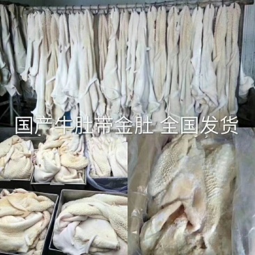 牛肚国产半生品牛肚出城高