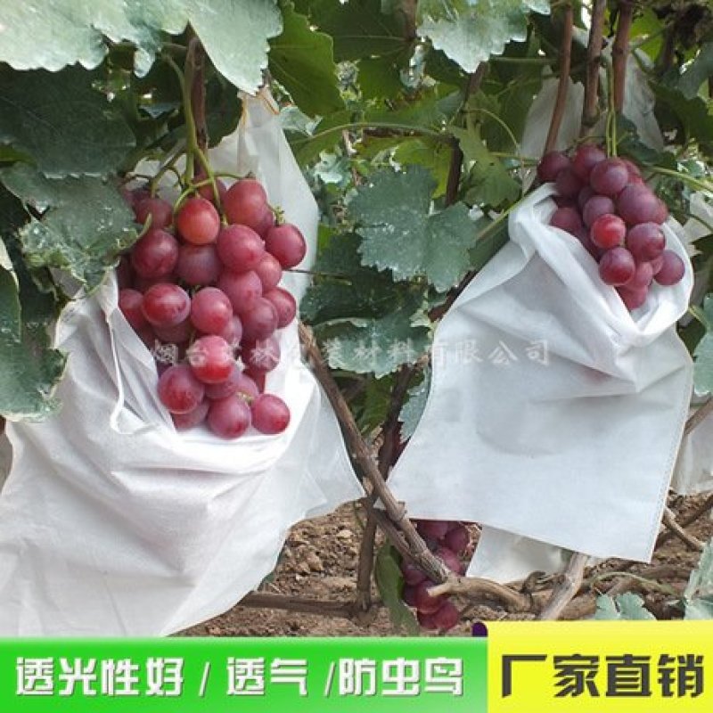 无纺布葡萄袋