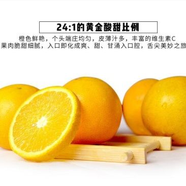 赣南脐橙